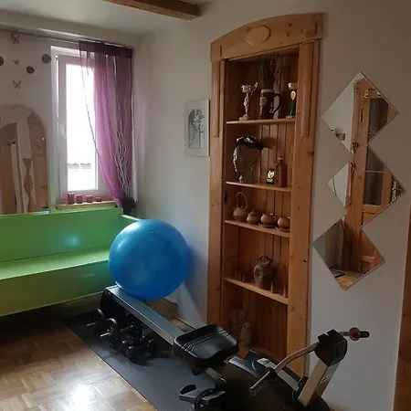 Apartment Pod Svatou Horou *
